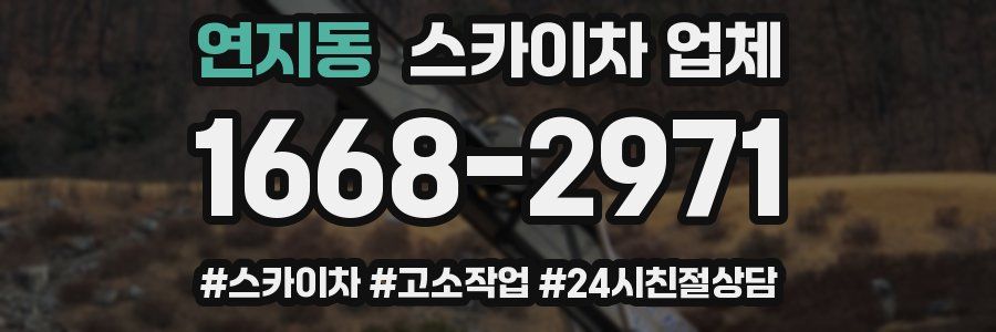 연지동 스카이차 업체