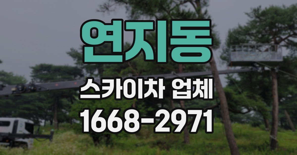 연지동 스카이차 업체