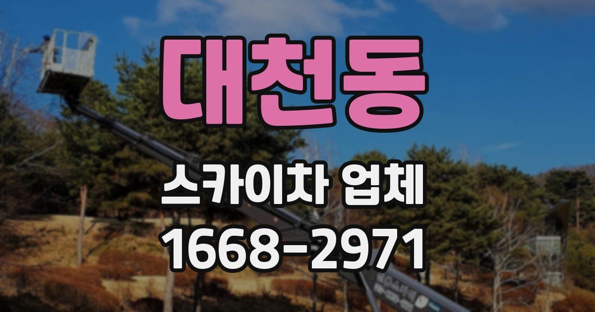 대천동 스카이차 업체