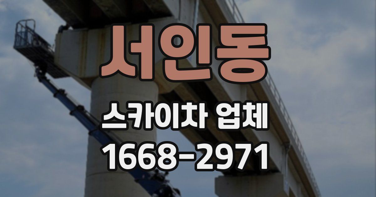 서인동 스카이차 업체