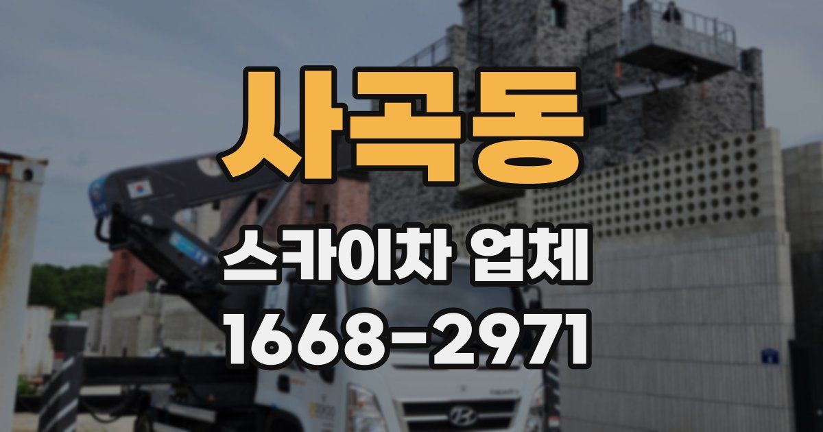 사곡동 스카이차 업체