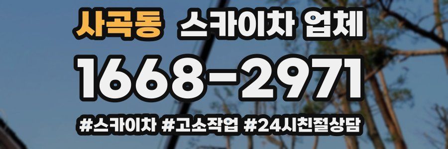 사곡동 스카이차 업체