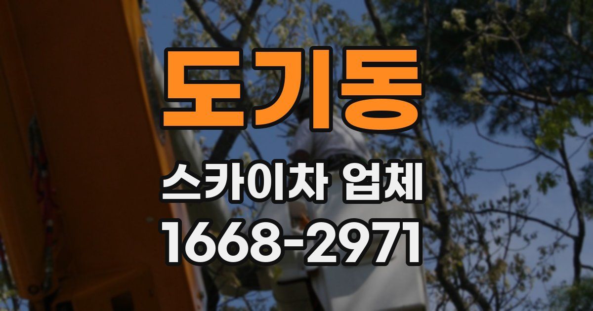 도기동 스카이차 업체