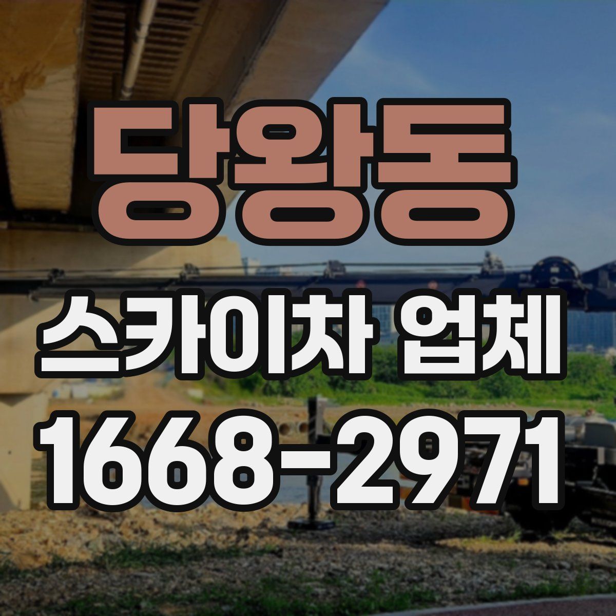 당왕동 스카이차 업체