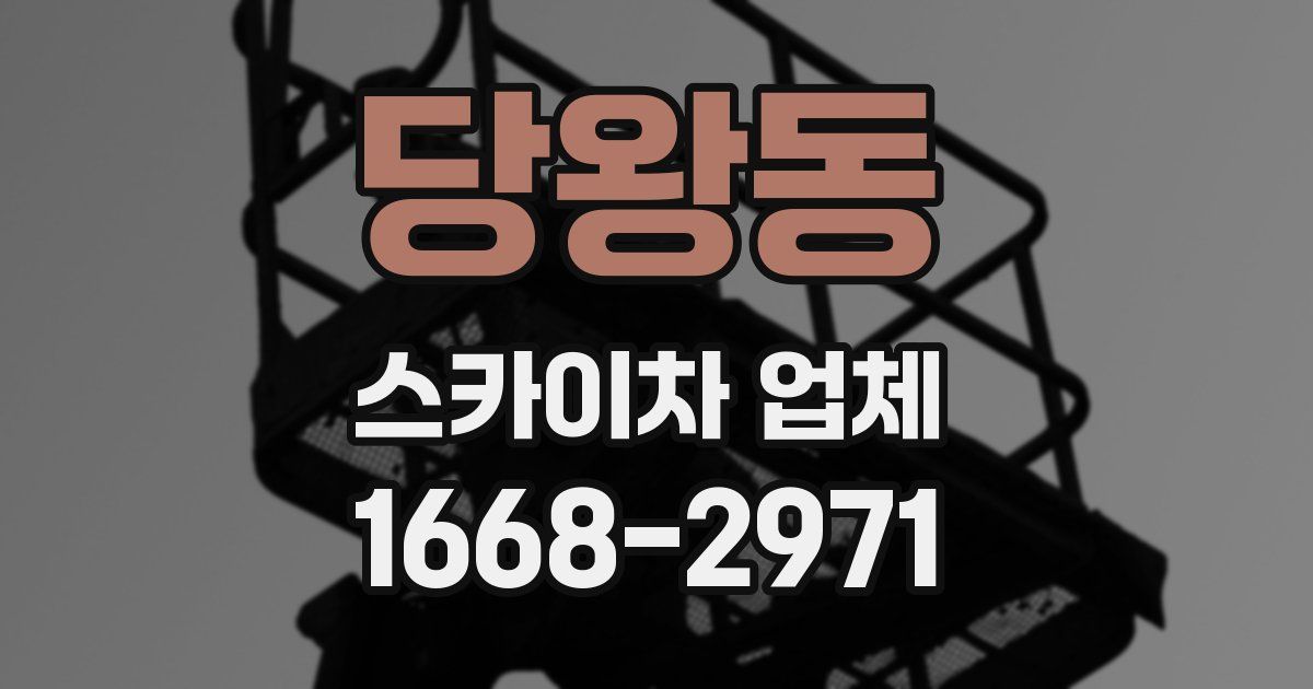 당왕동 스카이차 업체