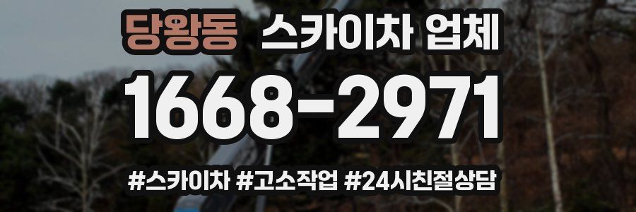 당왕동 스카이차 업체