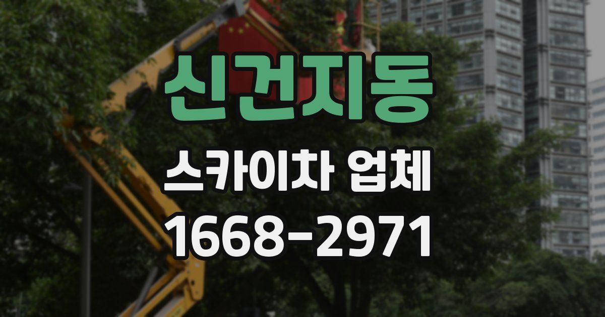 신건지동 스카이차 업체