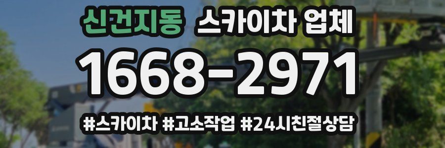 신건지동 스카이차 업체