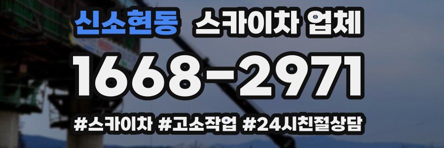 신소현동 스카이차 업체