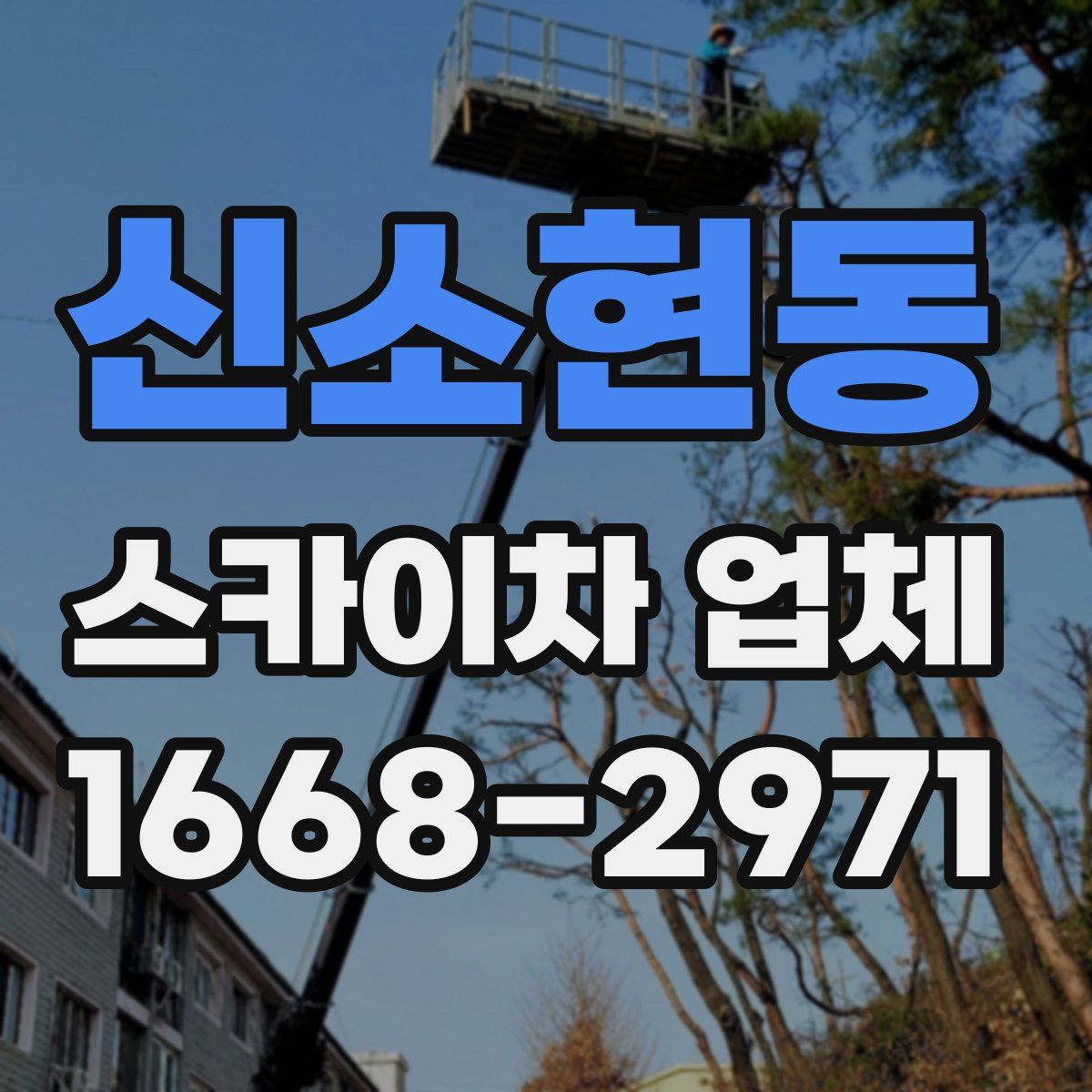 신소현동 스카이차 업체