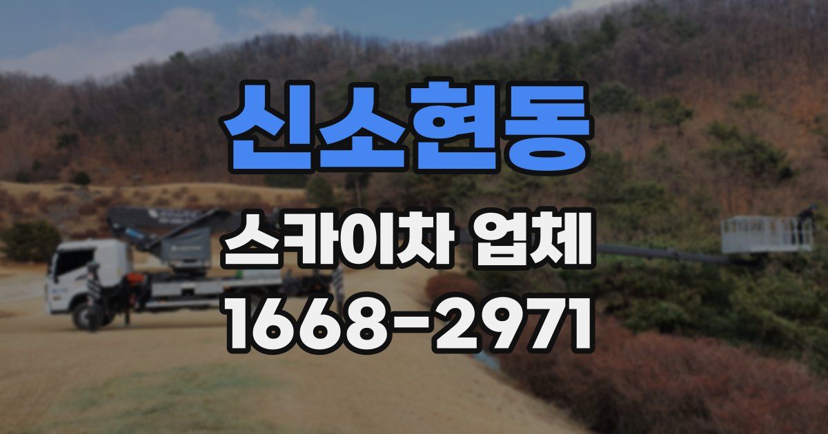 신소현동 스카이차 업체