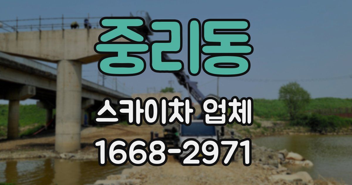중리동 스카이차 업체
