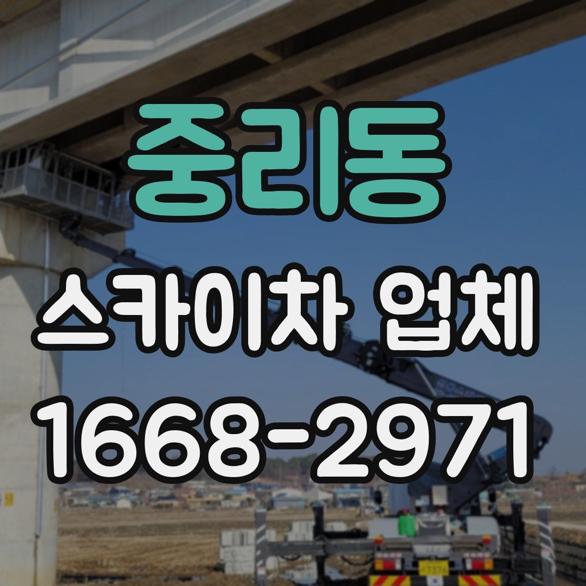중리동 스카이차 업체