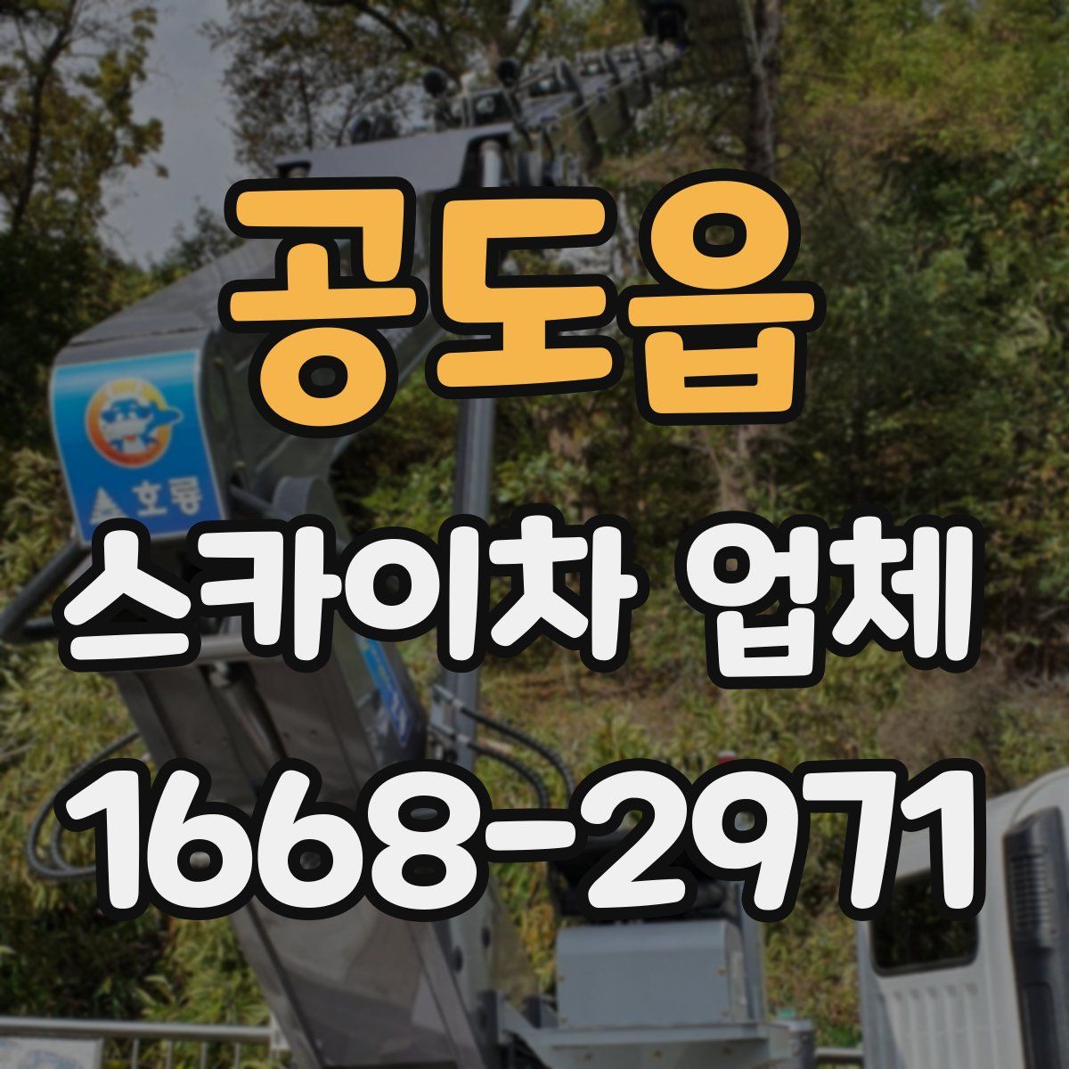 공도읍 스카이차 업체