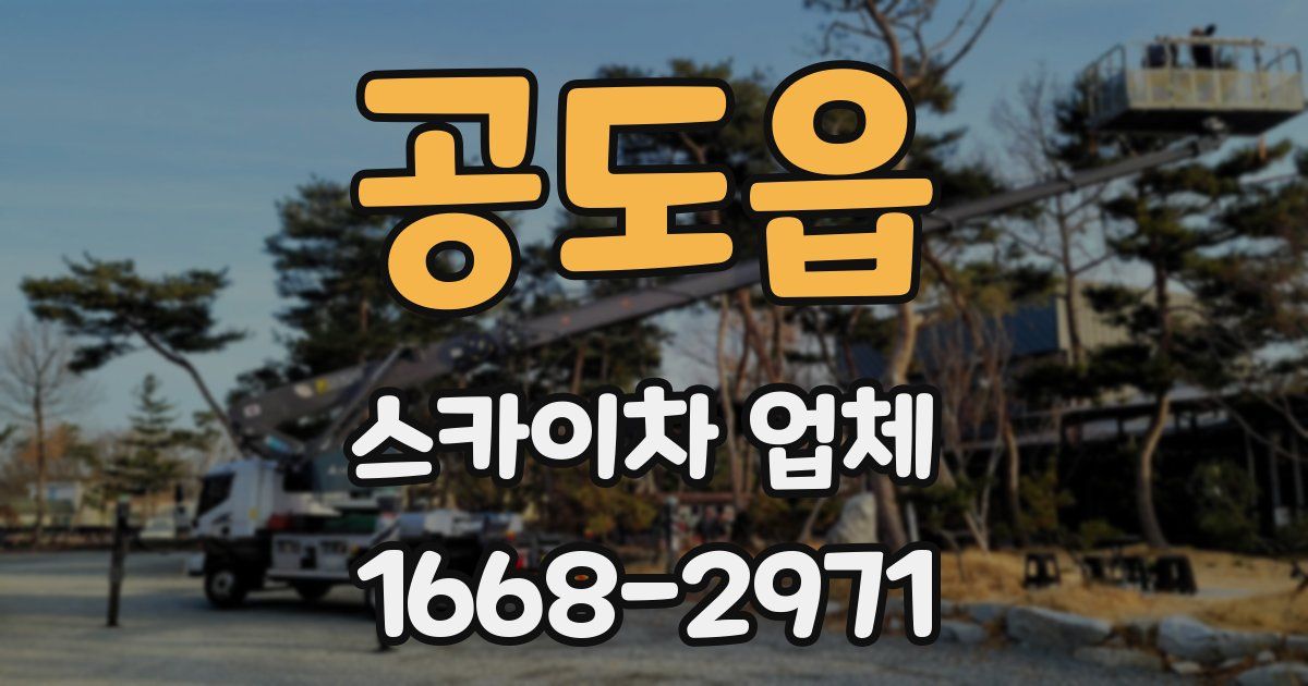 공도읍 스카이차 업체