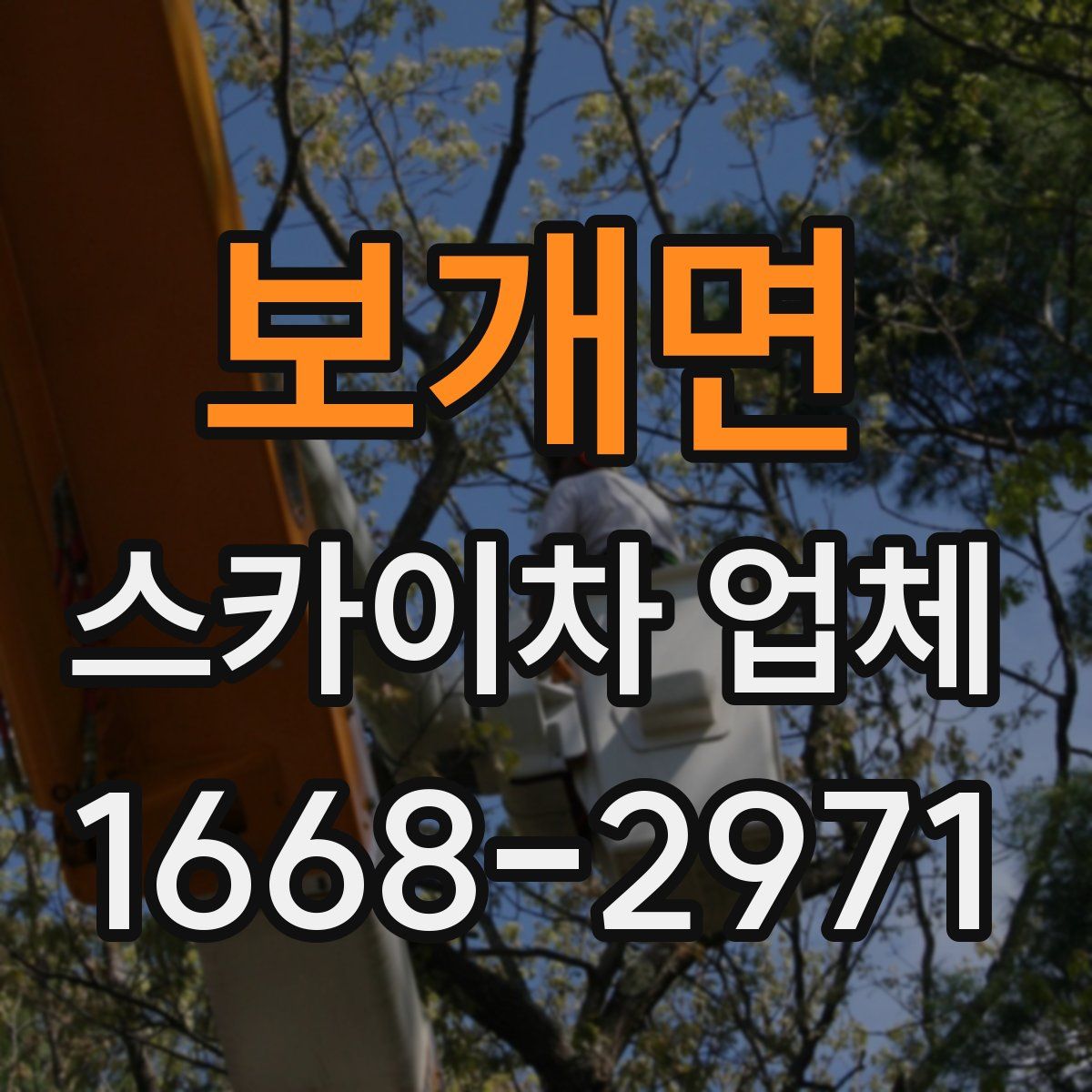 보개면 스카이차 업체
