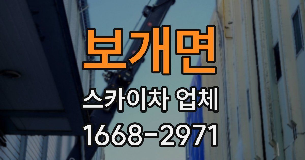보개면 스카이차 업체