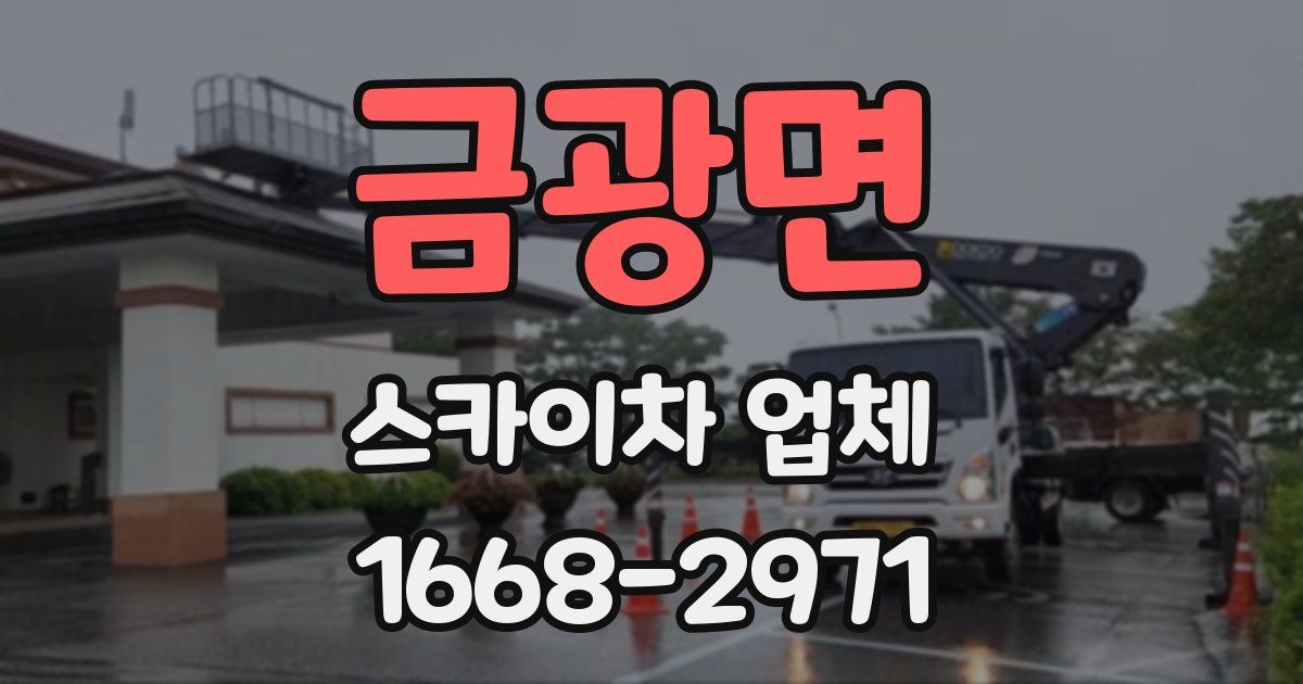 금광면 스카이차 업체