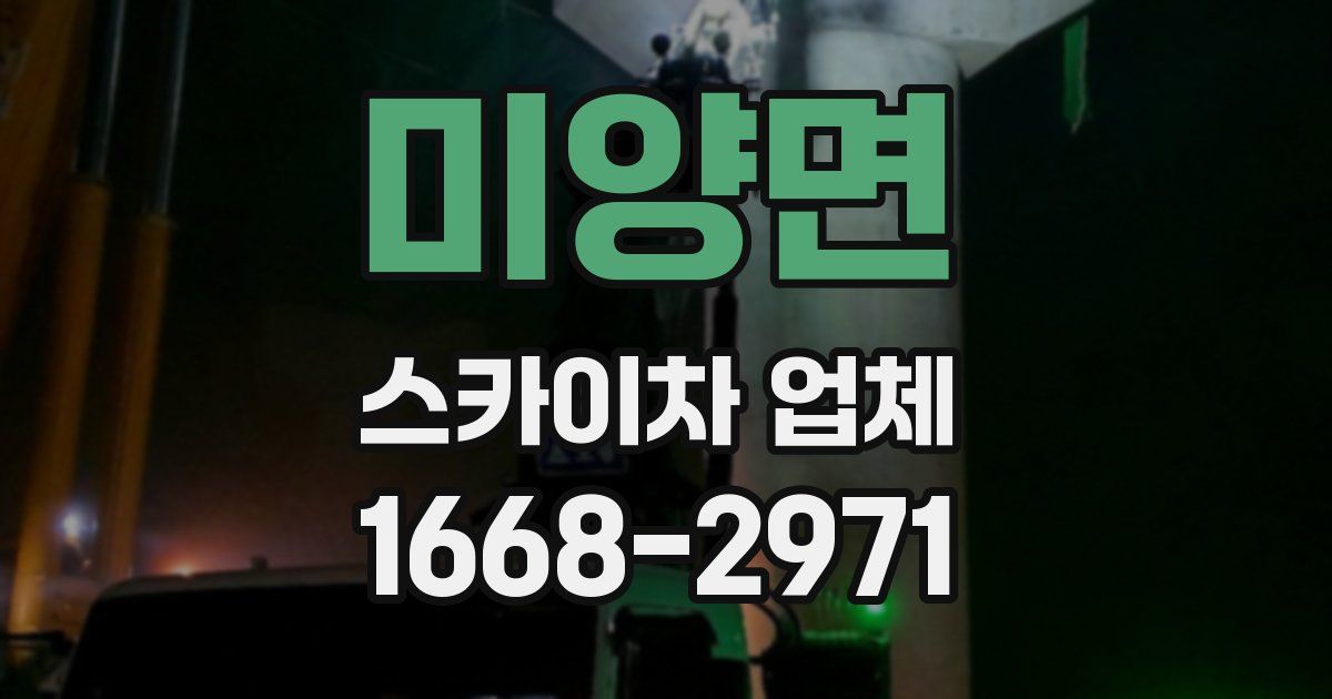 미양면 스카이차 업체