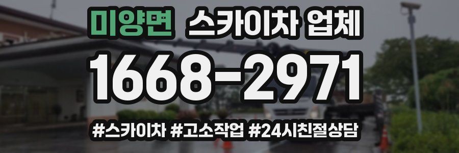 미양면 스카이차 업체