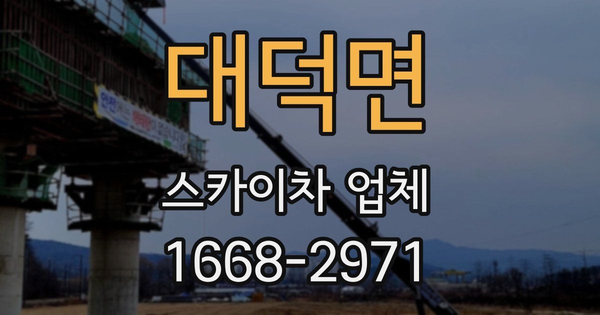 대덕면 스카이차 업체