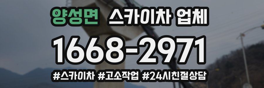 양성면 스카이차 업체