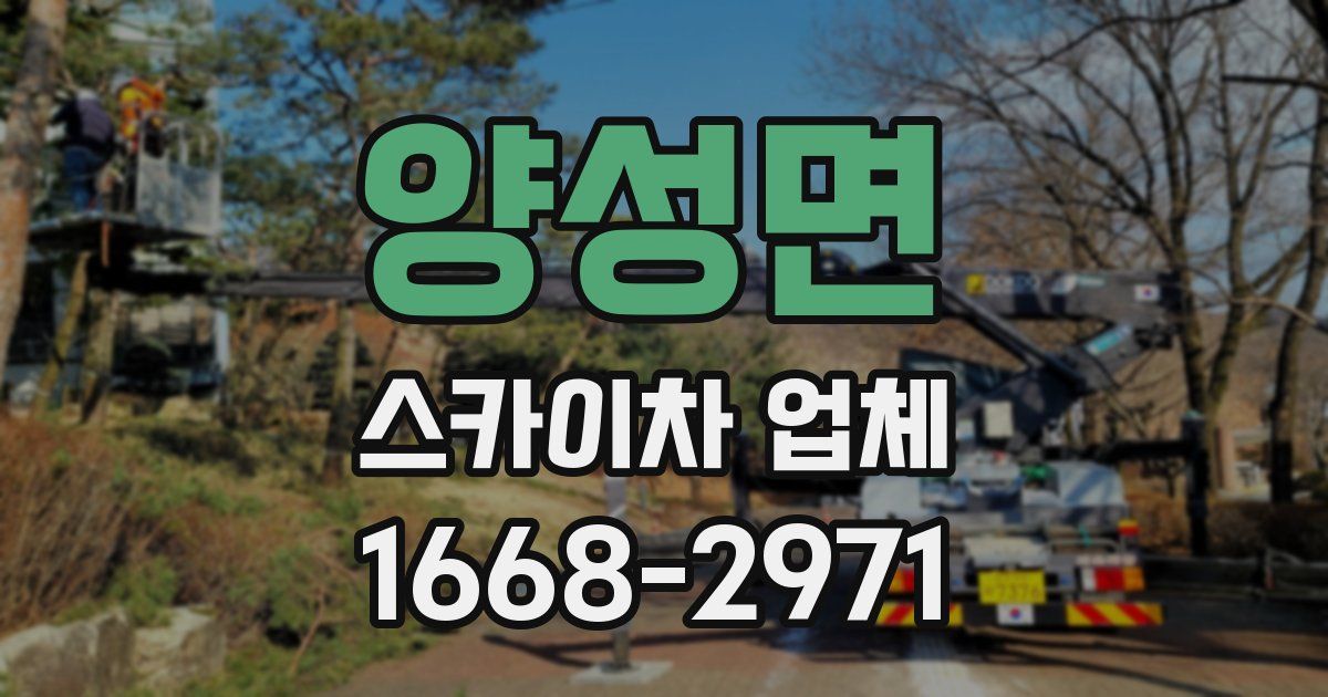 양성면 스카이차 업체