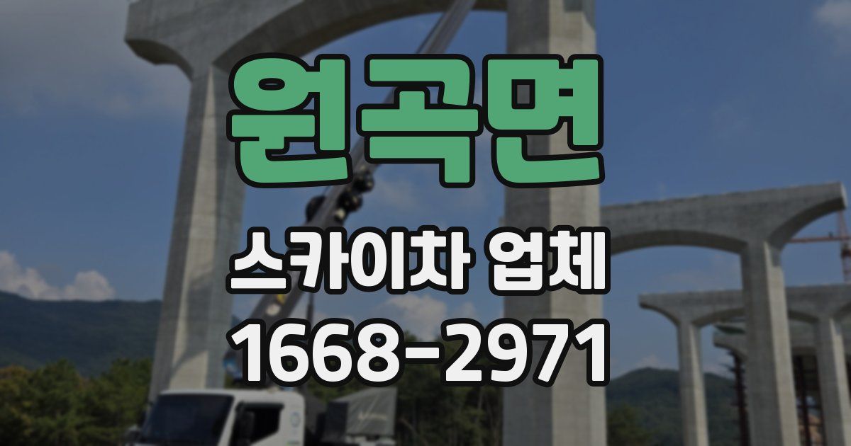 원곡면 스카이차 업체