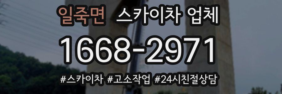 일죽면 스카이차 업체