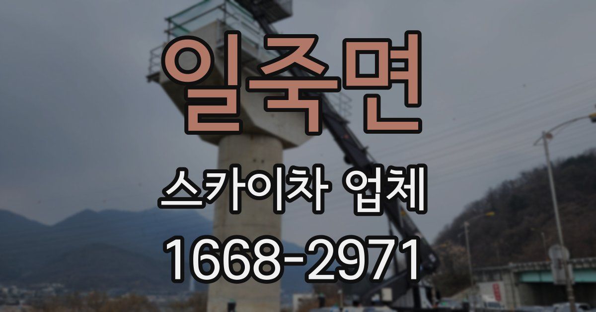일죽면 스카이차 업체