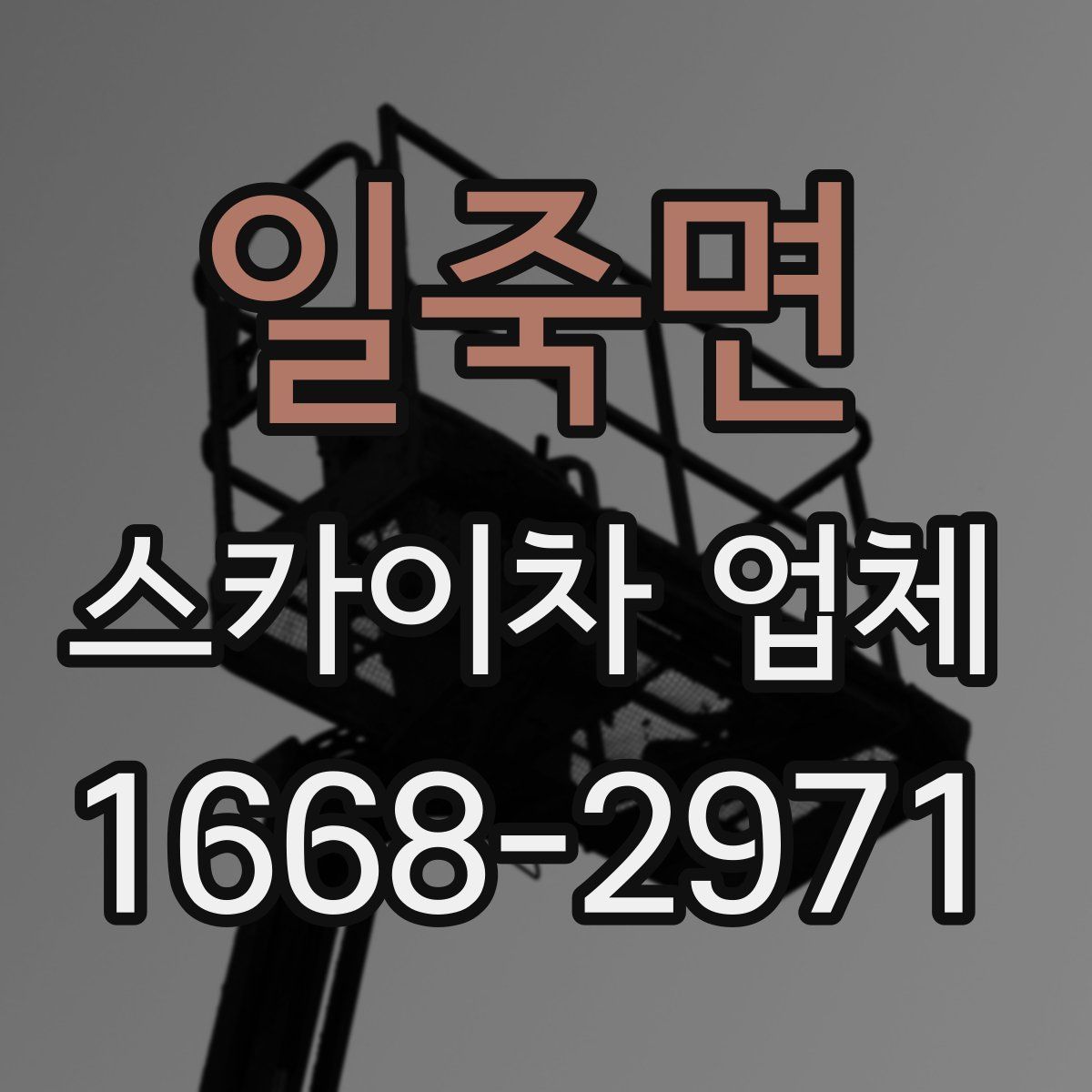 일죽면 스카이차 업체