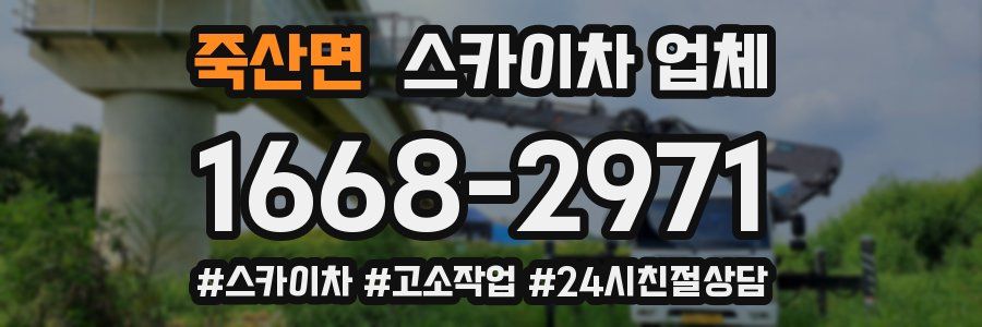 죽산면 스카이차 업체