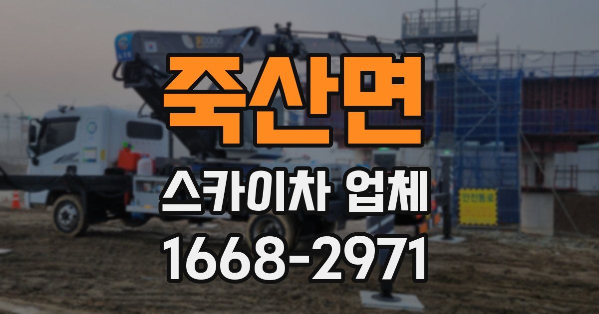죽산면 스카이차 업체
