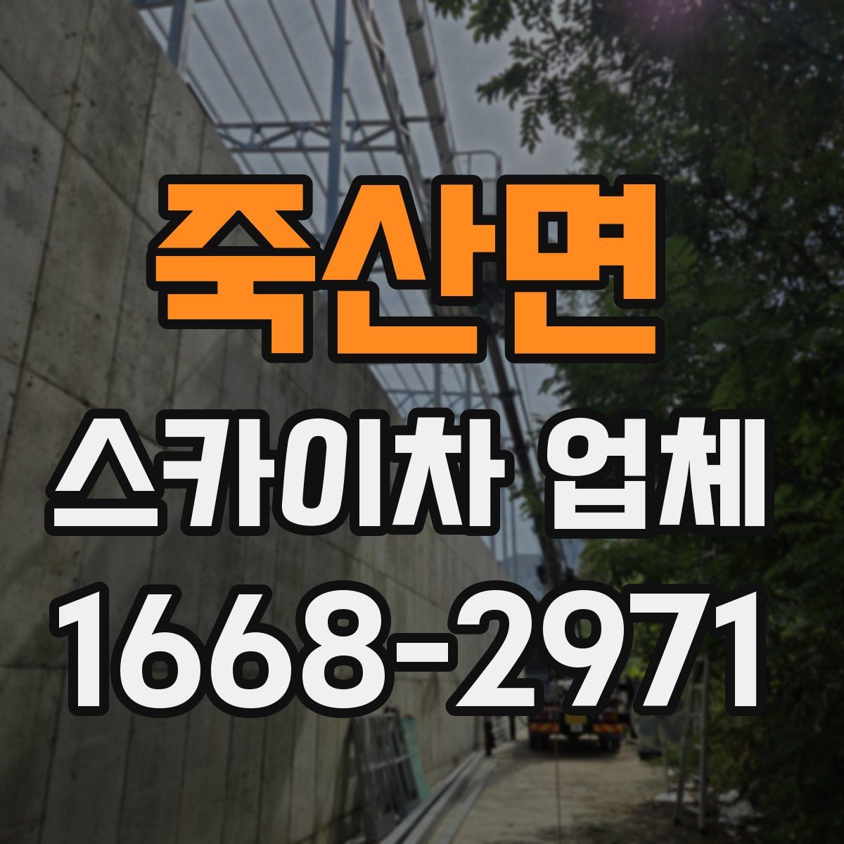 죽산면 스카이차 업체