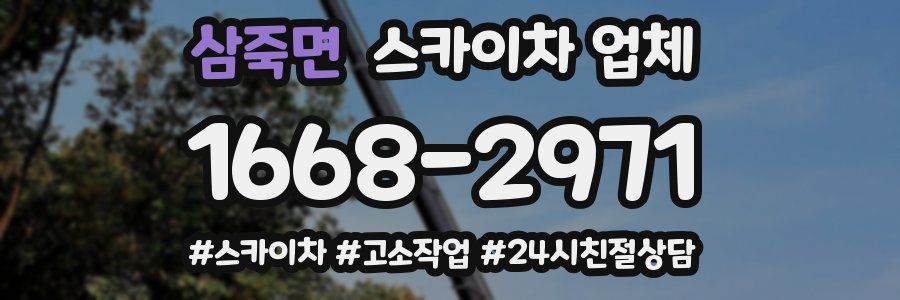 삼죽면 스카이차 업체