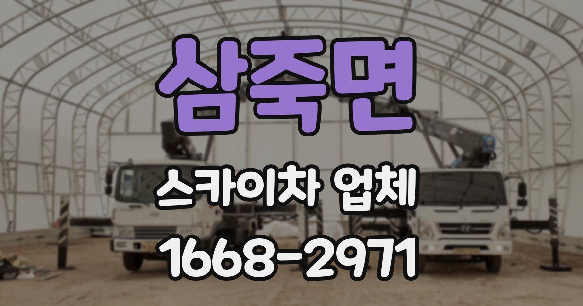 삼죽면 스카이차 업체