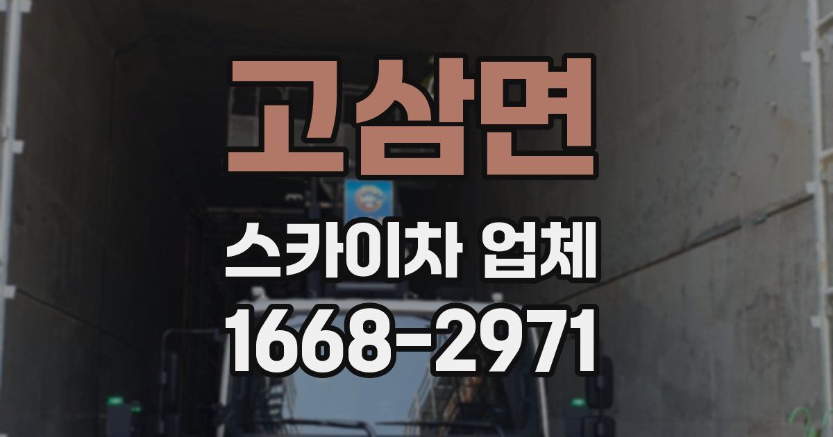 고삼면 스카이차 업체