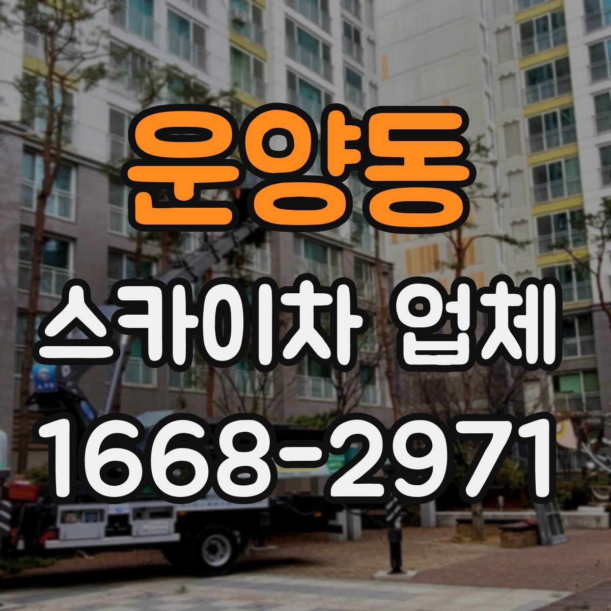운양동 스카이차 업체