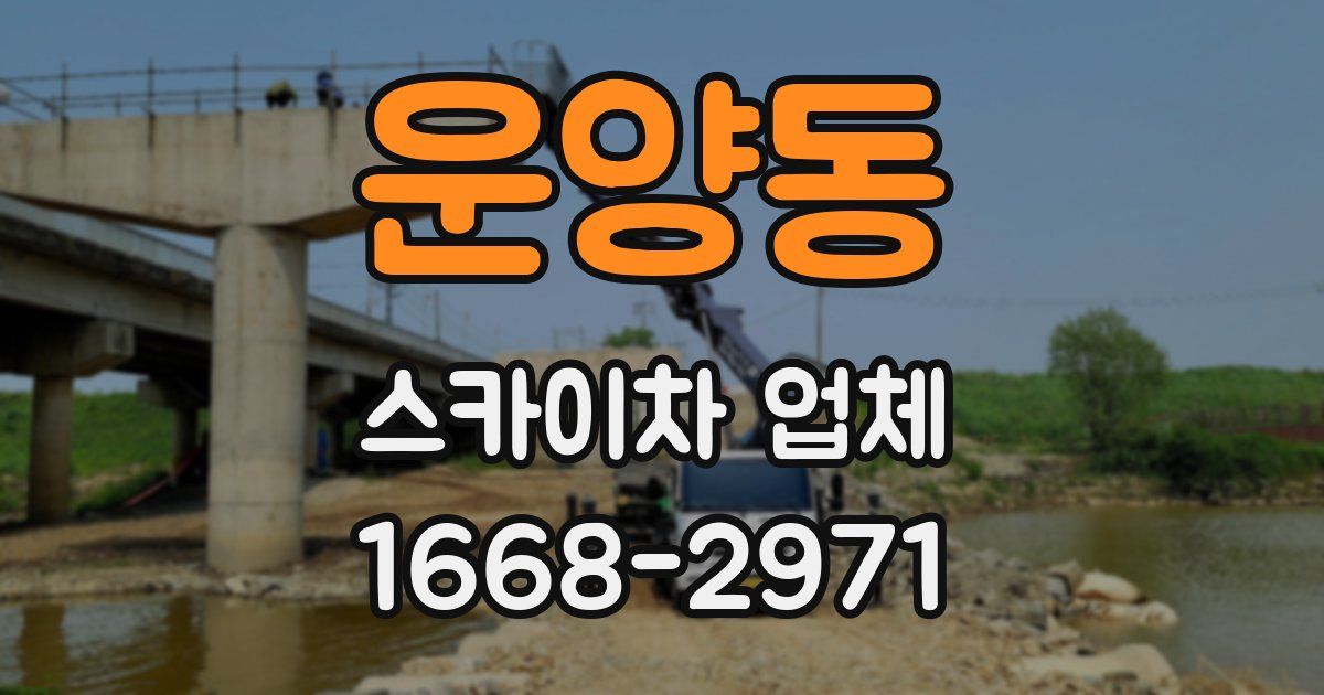 운양동 스카이차 업체