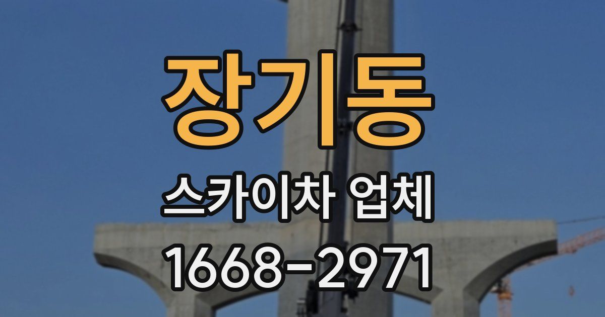 장기동 스카이차 업체