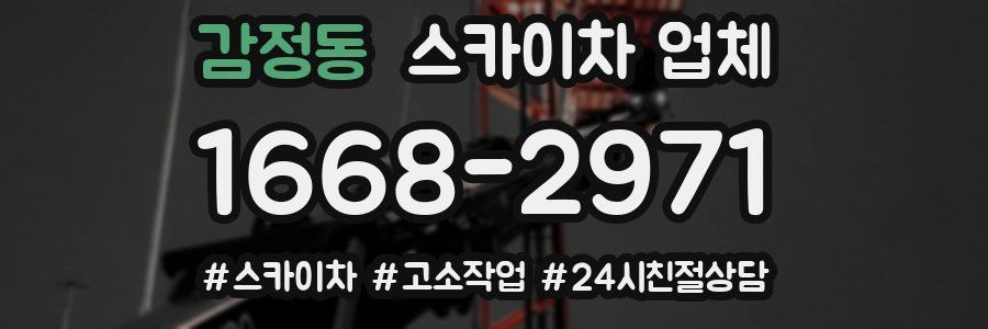 감정동 스카이차 업체