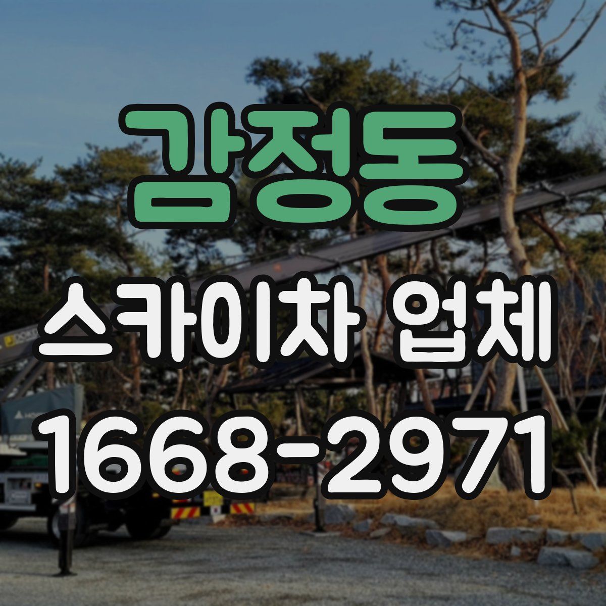 감정동 스카이차 업체