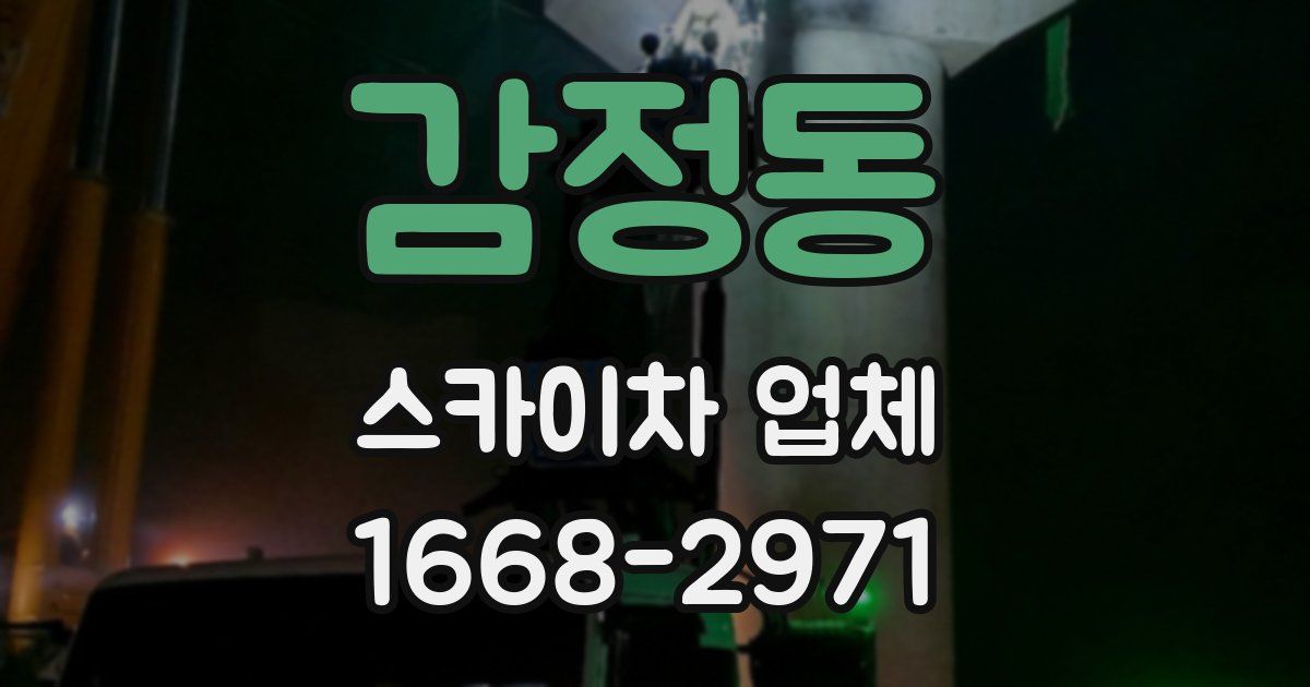 감정동 스카이차 업체