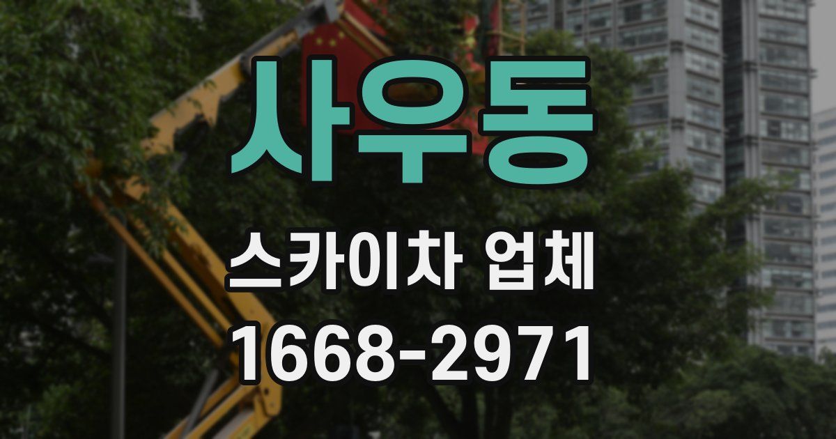 사우동 스카이차 업체