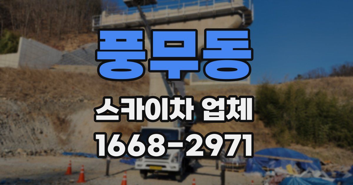 풍무동 스카이차 업체