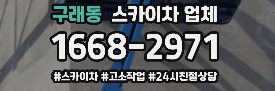 구래동 스카이차 업체