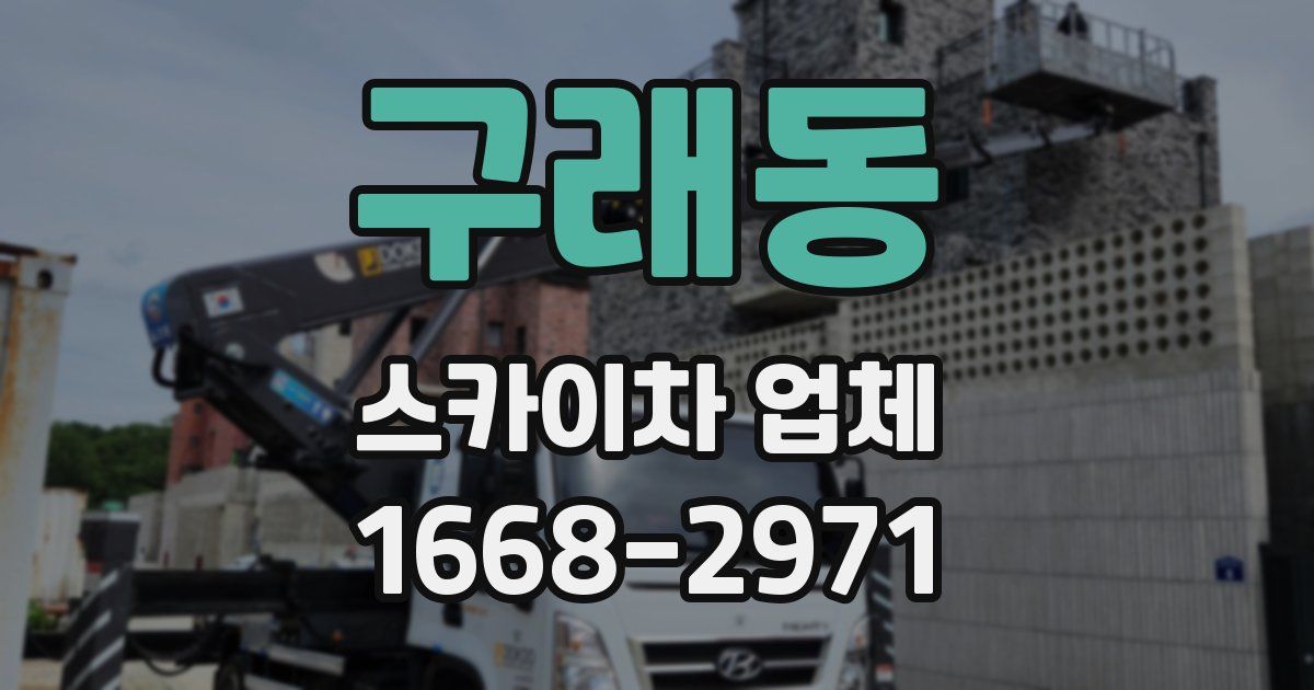 구래동 스카이차 업체