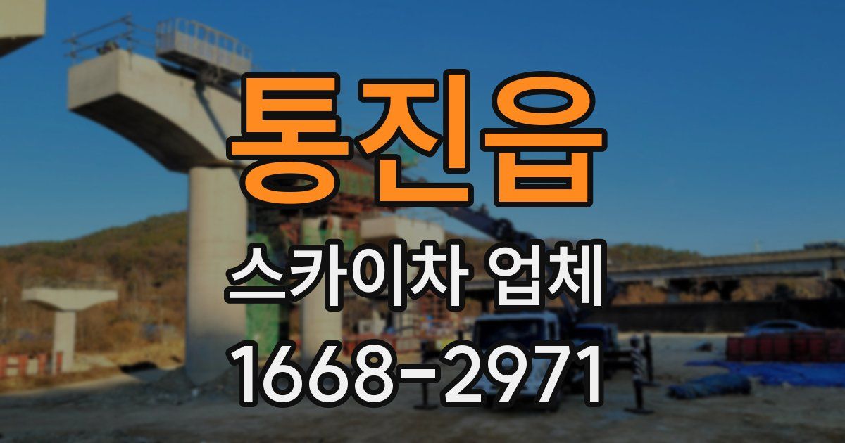 통진읍 스카이차 업체