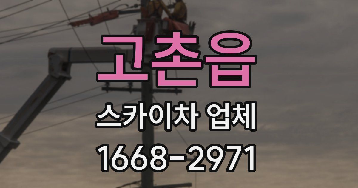 고촌읍 스카이차 업체