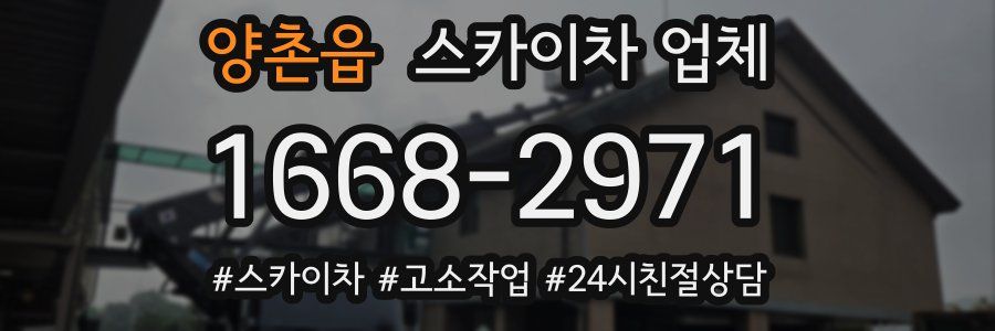 양촌읍 스카이차 업체